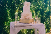 punta_cana_wedding-114