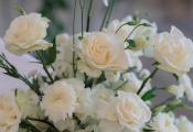 punta_cana_wedding-5