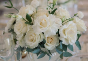 punta_cana_wedding-6