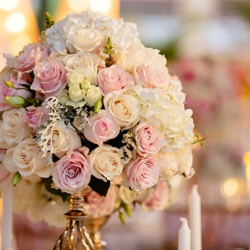 Photography by www.JuliaEskin.com