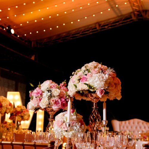 Photography by www.JuliaEskin.com