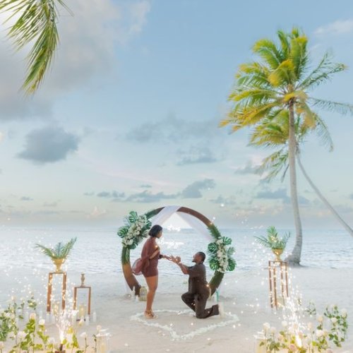 punta-cana-proposal-13