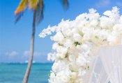 punta-cana-wedding-5