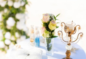 wedding-cabeza-de-toro-2