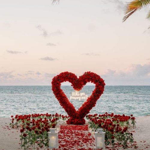 punta-cana-proposal-1