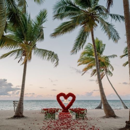 punta-cana-proposal-2