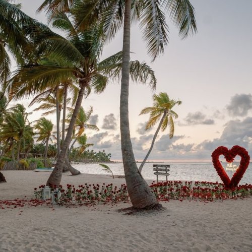 punta-cana-proposal-3
