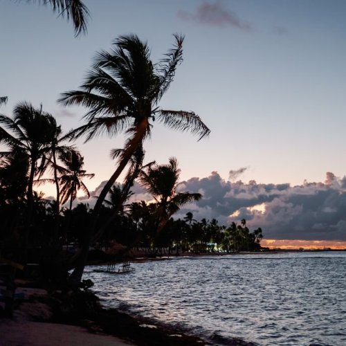 punta-cana-proposal-52