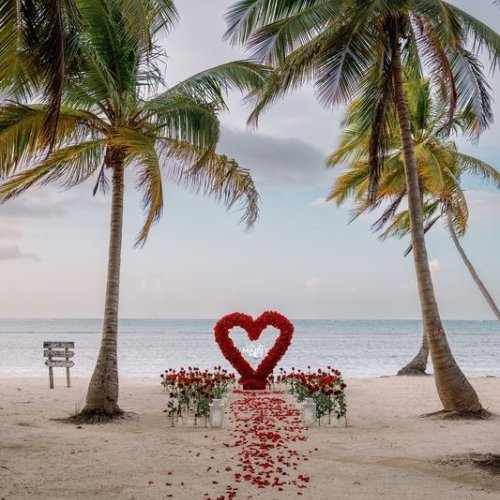 punta-cana-proposal-1