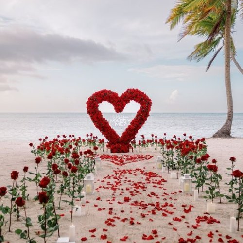 punta-cana-proposal-2