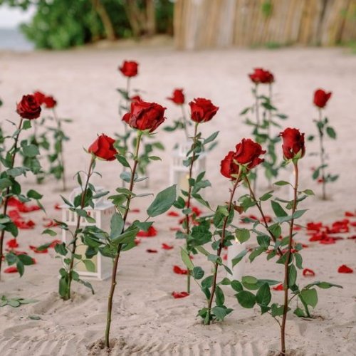 punta-cana-proposal-3