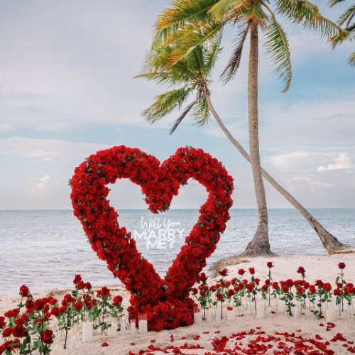 punta-cana-proposal-4