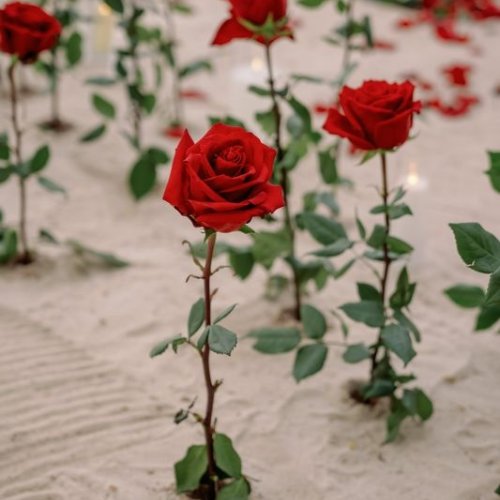 punta-cana-engagement-4