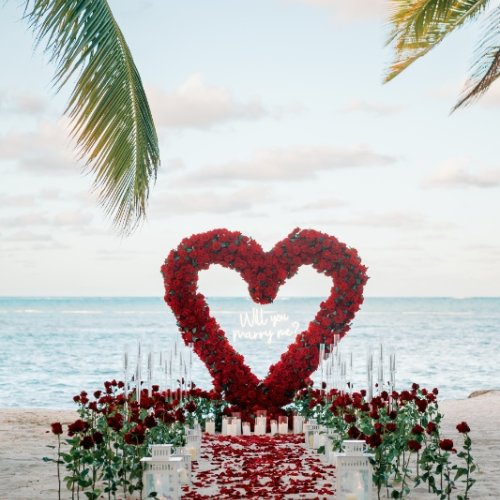 punta-cana-proposal-2