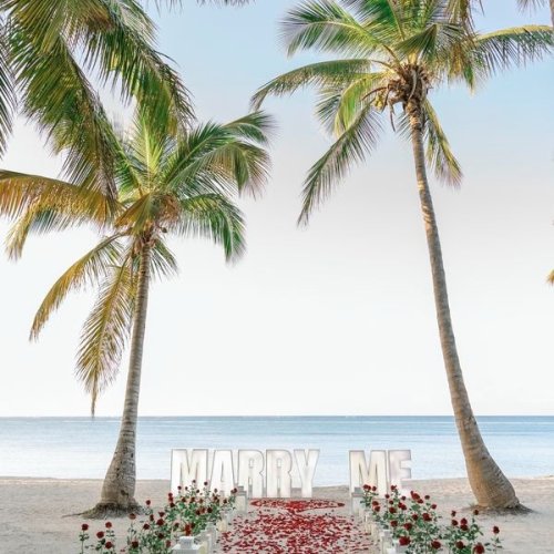 punta_cana_proposal-1