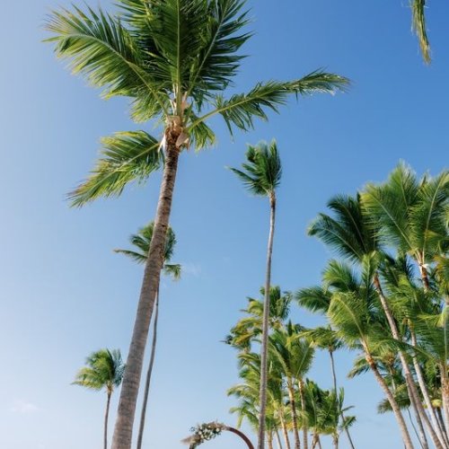 punta-cana-wedding-14