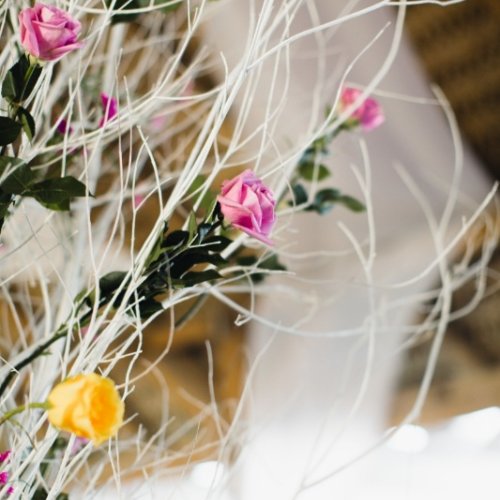 caribbean-wedding-39-853x1280