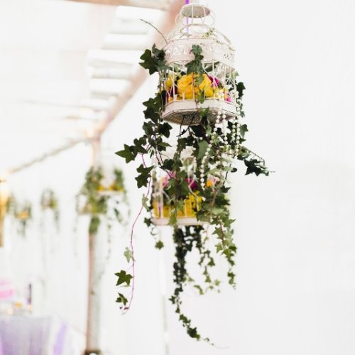 caribbean-wedding-42-853x1280