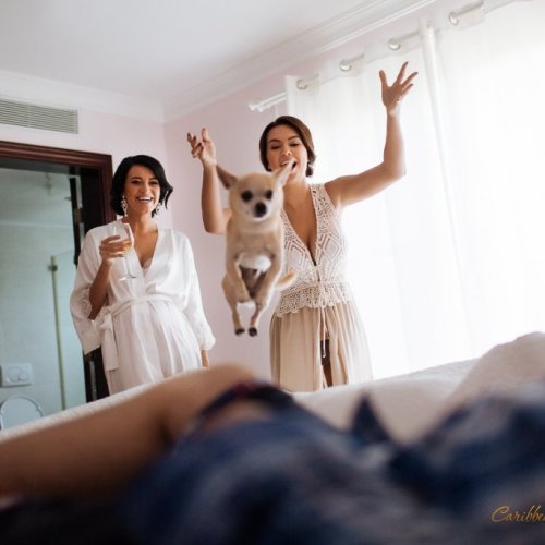 weddingdominican-com_08