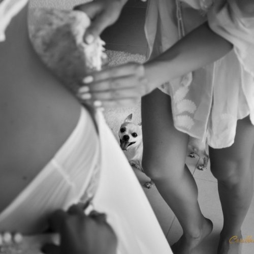 weddingdominican-com_09