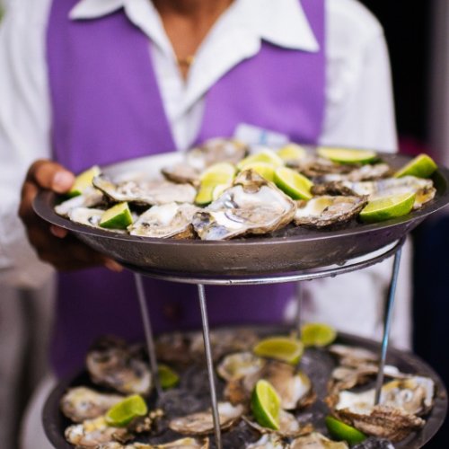 weddingdominican-com_94