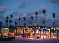 Punta Cana Hochzeitslocations – Beste Hochzeitsdestinationen im 2025