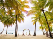 <h1>Intime Hochzeit auf der Insel Saona – Romantik in der Karibik</h1>